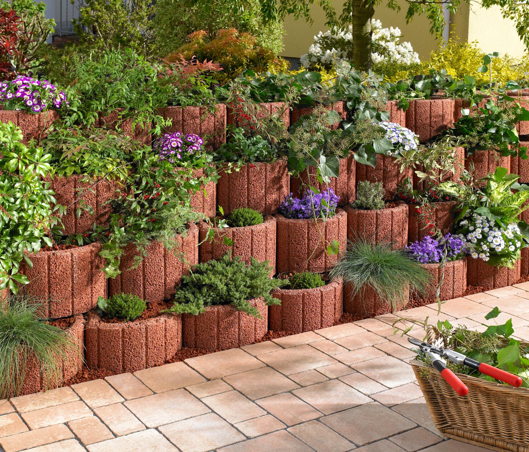 Pflanzringe Pflanzringe