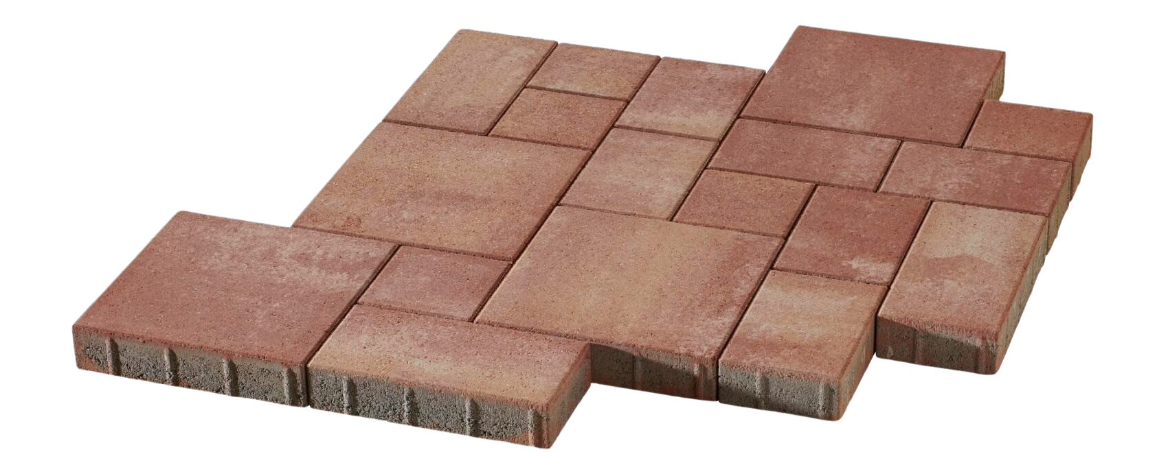 La Tierra 6 cm wilder Verband La Tierra 6 cm wilder Verband