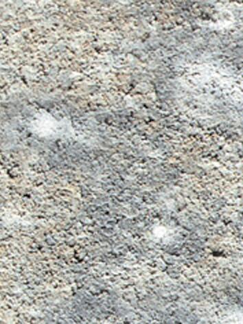 Germania antik 14/14/8 cm