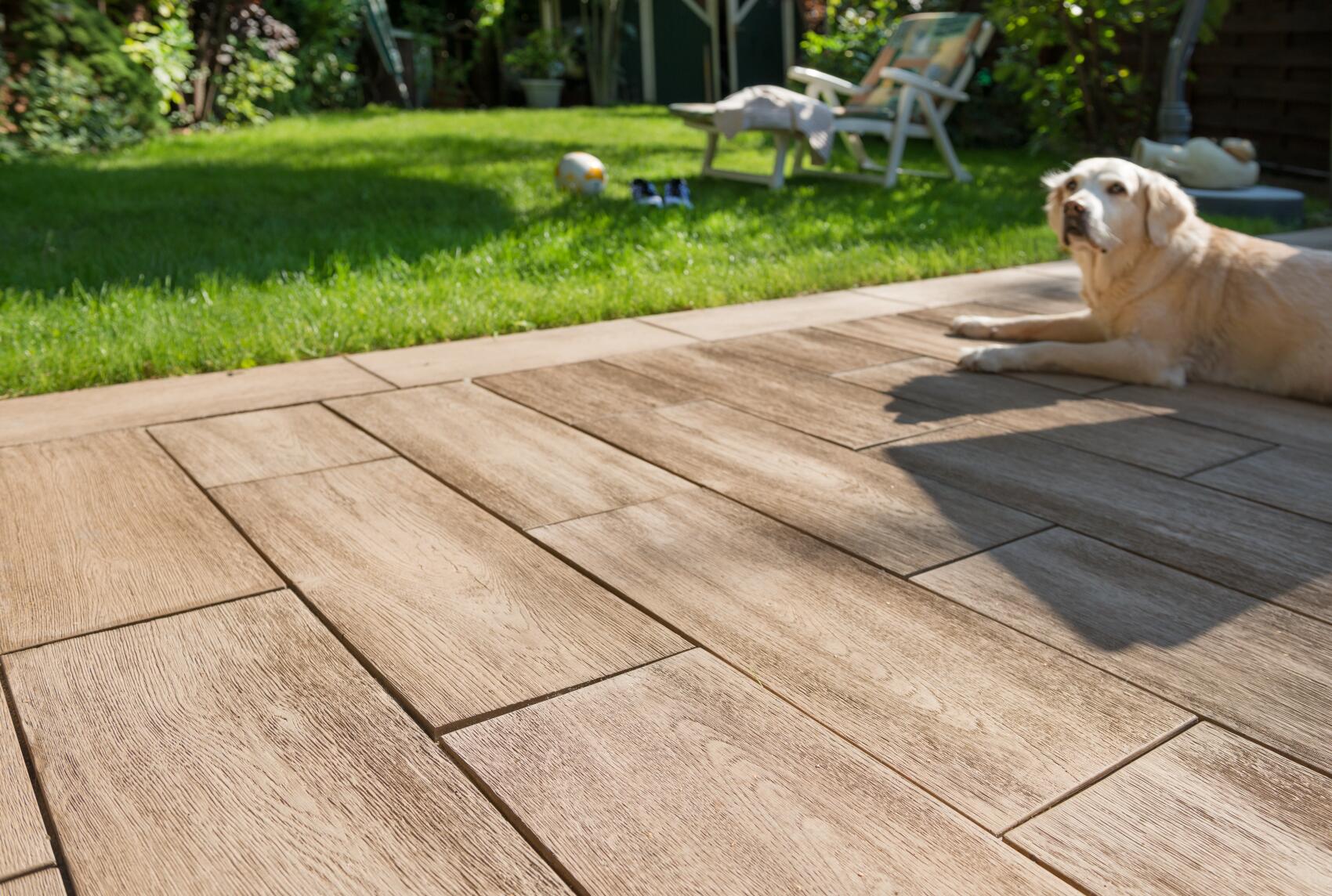 LogPlank