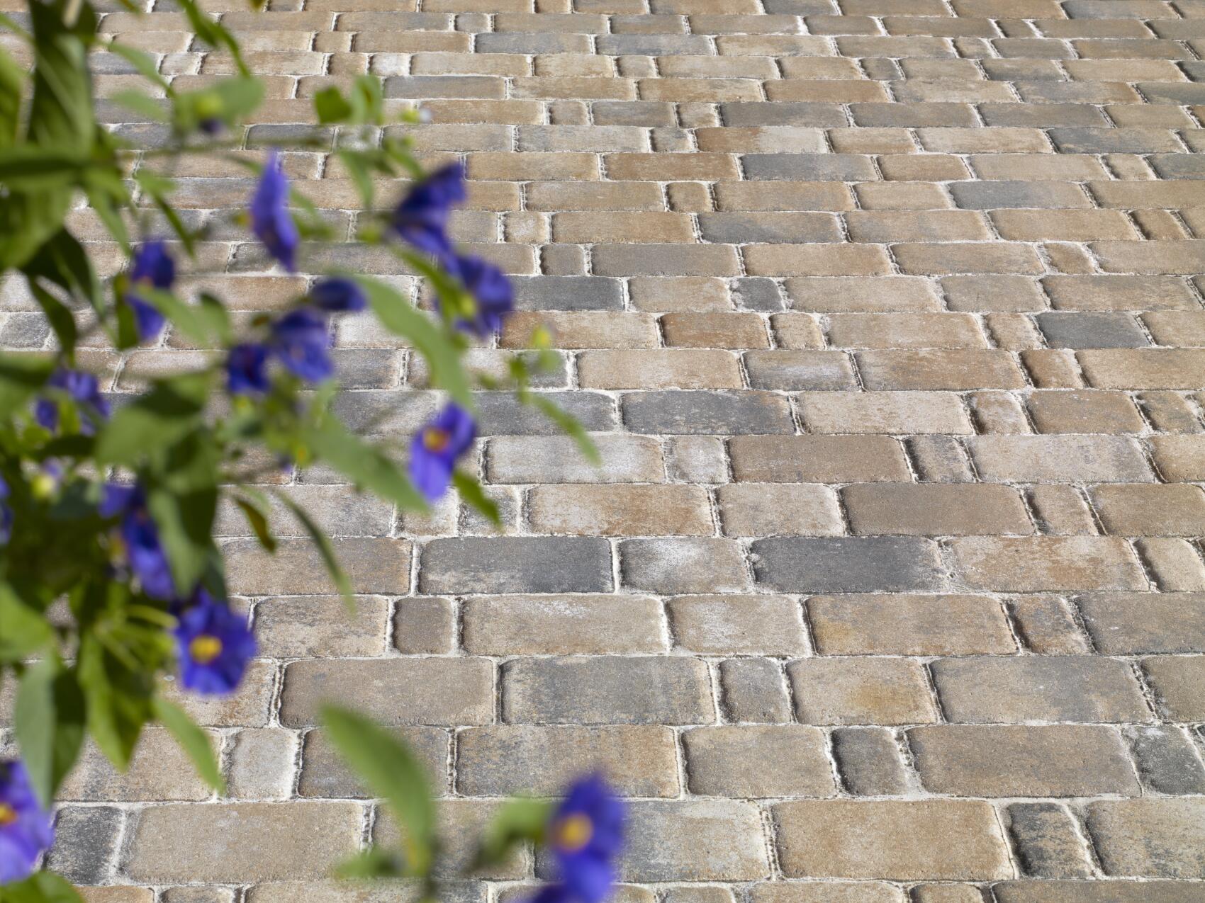 Burgpflaster Burgpflaster