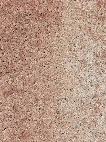 La Tierra 6 cm wilder Verband